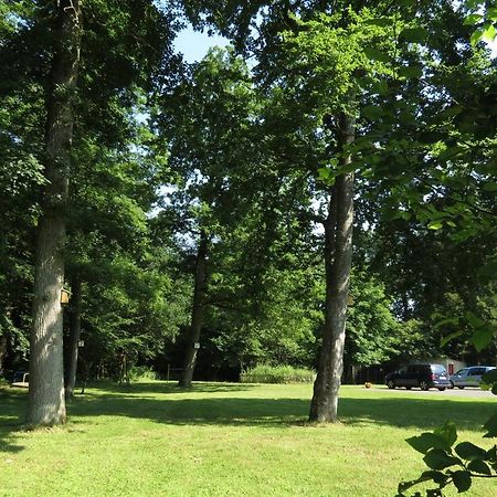 Plein Hotel Waldschloesschen المظهر الخارجي الصورة