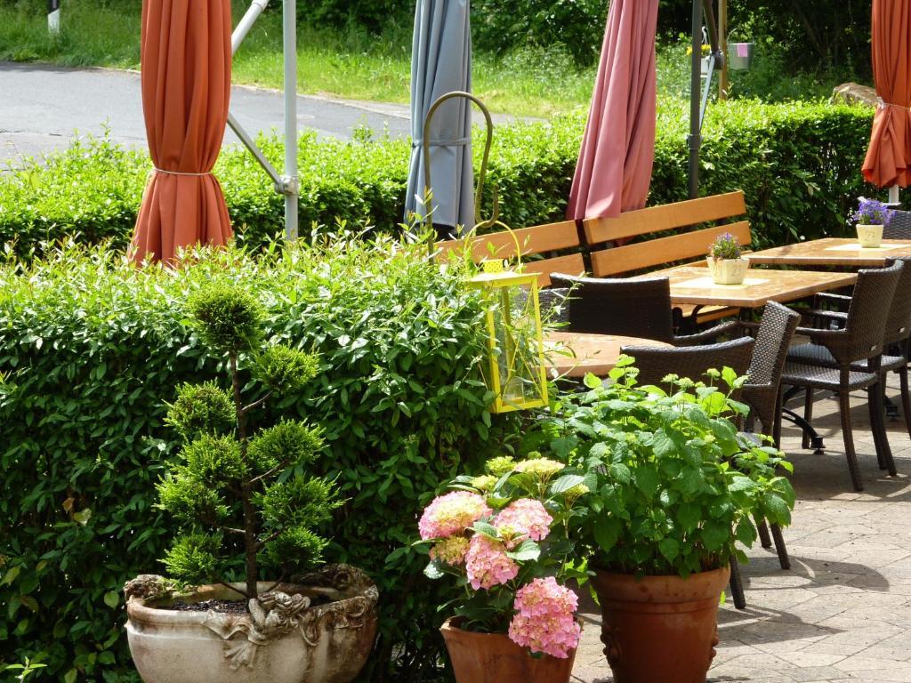 Plein Hotel Waldschloesschen المظهر الخارجي الصورة
