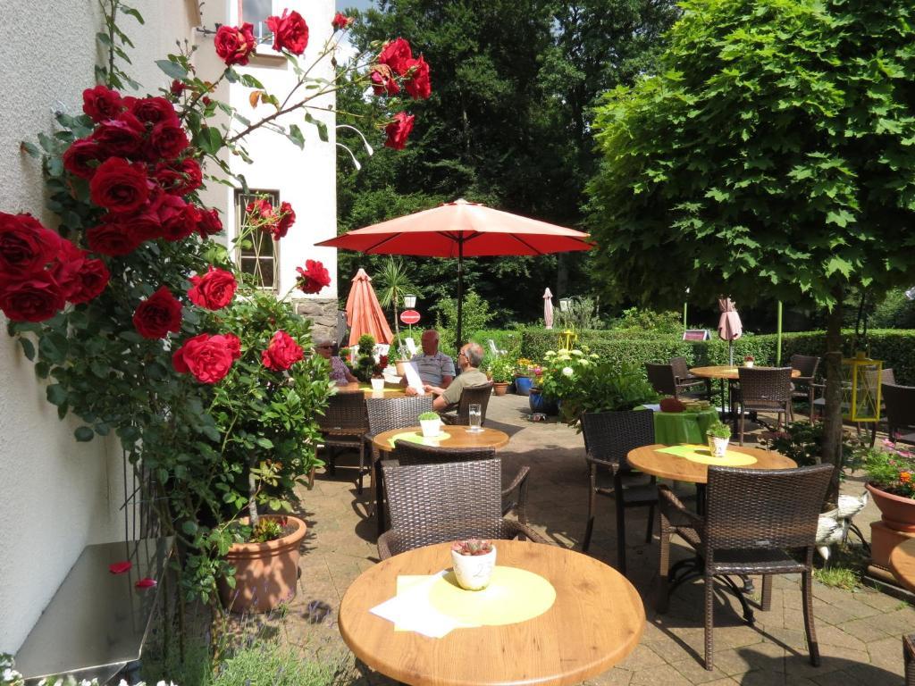 Plein Hotel Waldschloesschen المظهر الخارجي الصورة